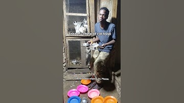 Every bit of your support counts. Click on the links in our bio to donate for any support #cat #help