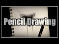 Bush lab  pencil drawing technique   4x speed drawing process