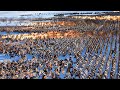 Римский Легион VS 300 000 Варваров и Греков - Global Battle - Cinematic  Battle в Total War Rome 2
