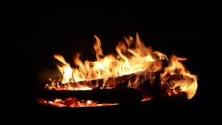 Dortmund Fredenbaumpark Lagerfeuer