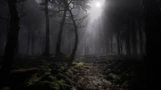 Misty Forest Night With Rain And Thunder | Rain & Thunder Sounds | 8 Hrs | Rain sounds for sleeping by The Relaxing Town 7,118 views 3 months ago 8 hours, 4 minutes