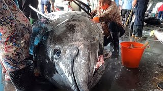 990 Lbs Super-Huge Bluefin Tuna Perfectly and Precisely Cut
