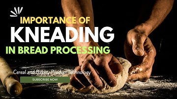 Role of Kneading in Bread Making