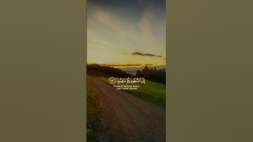 سورة القلم اسلام صبحي #قران_كريم #quran #ارح_قلبك #اكتب_شيء_تؤجر_عليه #عبدالرحمن_مسعد #قرآن #قرآن
