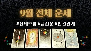 [타로] 9월의 전체 운세를 알려드려요.