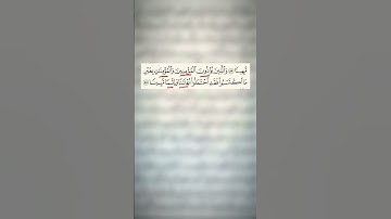 سورة الأحزاب آية 57 القارئ الشيخ محمد الفقيه. قرآن كريم