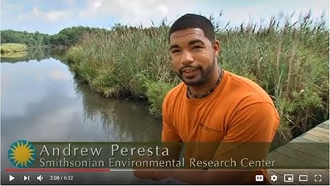 Ecosystems on the Edge