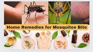 Mosquitoes bite || Natural Home Remedies for Mosquito bite || #mosquito #mosquitobites