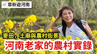 河南老家的農村現況_鏡頭從都市轉到鄉村感受踏實且純樸的滿足_章新一支鐵鍋回老家感受那塊我爸小時候奔跑玩耍的黃土地看看茅廁麥田與鄉下玉皇大帝小廟