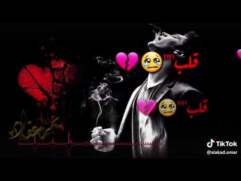 أجمل أغنية كلب أش جابك لهذا الدرب قلب سلمت حالك للغرب أجمل ستوريات أنستا حالات فيس بوك شاهد لن تندم