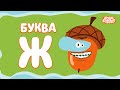 Буква Ж - Бодо Бородо | ПРЕМЬЕРА | мультфильмы для детей 0+