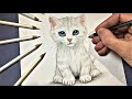 Comment dessiner un chaton mignon réaliste [Tutoriel]