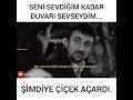 Seni sevdiğim kadar duvarı sevsem şimdiye çiçek açardı...
