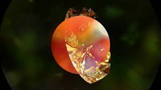 Live Audio Visual Experiment