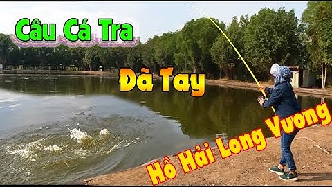 Câu Cá Tra Hồ Hải Long Vương Cùng Nhóm Bạn Cảm Giác Thật Đã Tay