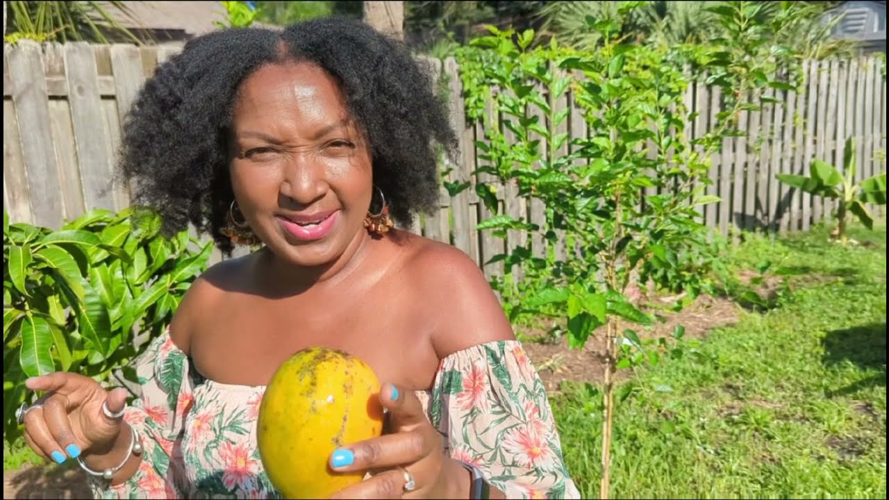 Carrie Mango Taste Test plus my recommendation on if you should add this mango to your backyard?