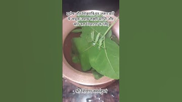 प्रदोष और शिवरात्रि पर लक्ष्मी प्राप्ति और सारे कष्ट निवारण के उपाय #pradeepmishra #mahadev #upay