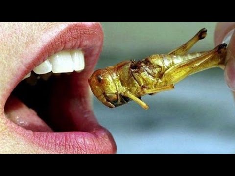 10 самых дорогих бургеров в мире