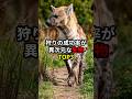 狩りの成功率が異次元な生物TOP3 #世界 #豆知識 #雑学