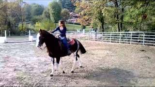 WP 20131025 004