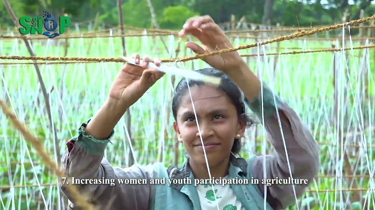 සාර්ප් අපි ගැන