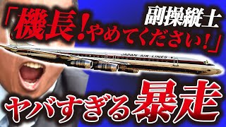 【飛行機事故】機長の精神病が引き起こした悲劇『日本航空350便墜落事故』