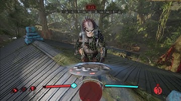 BUGS WITH DISK. Predator: Hunting Grounds