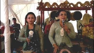 LADRANG KOK SEMOYO sindene koyo bakul jamu bersama sekar jati