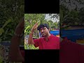 VAAZHA 2 📈 🔥 #comedy #comedyskits #comedyvideos MALAYALAM MOVIE #funny HASHREE