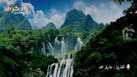 القارئ 💕محمد طارق سورة إبراهيم💕 راحه ^طمأنينة