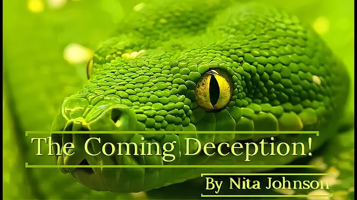 The Coming Deception - Nita Johnson