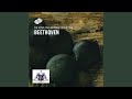 Miniature de la vidéo de la chanson Hymn Of Joy - Piano Symphony: Rondo