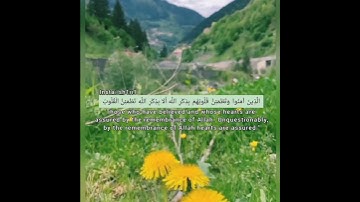 حالات انستقرام جديدة  - حالات واتس  - تلاوات هادئة للقلب  - قرآن - Quran