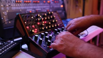 My first Jam with the Moog DFAM & Subharmonicon