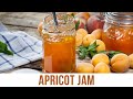 Apricot jam  bitrecipes