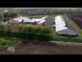 45 Min - Armes Schwein | NDR Fernsehen vom 27.05.2014