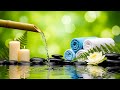 Relaxing Sleep Piano + Bamboo Water Sound 🌱 Relaxing Sleep, Study & Calming Deep Relaxation