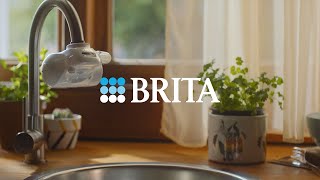 BRITA - Adiós, agua embotellada. Hola, agua filtrada (Bee Hotel ON TAP)