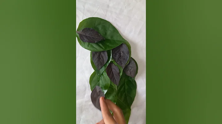 Peacock Leaf Art 🦚 | Beautiful DIY Peacock Using Leaves #leafart #peacockart #diycraft #shorts #art.