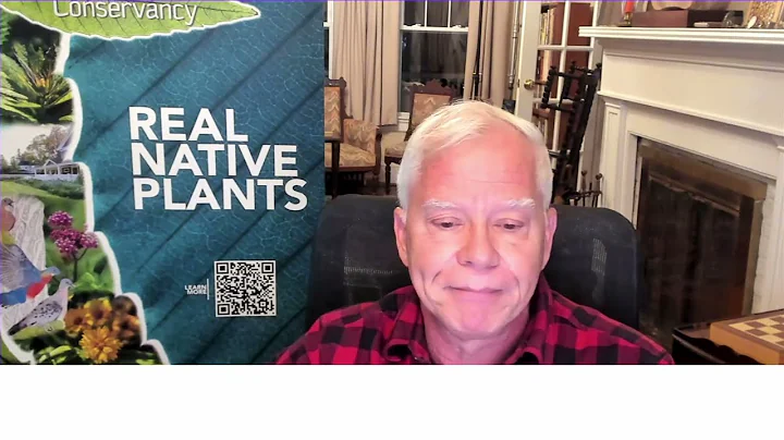 Japanese Barberry -- A member of the Dirty Dozen worst invasive plants on Long Island