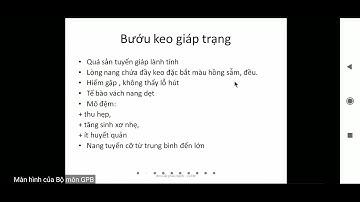 th gpb nội tiết vutm 1