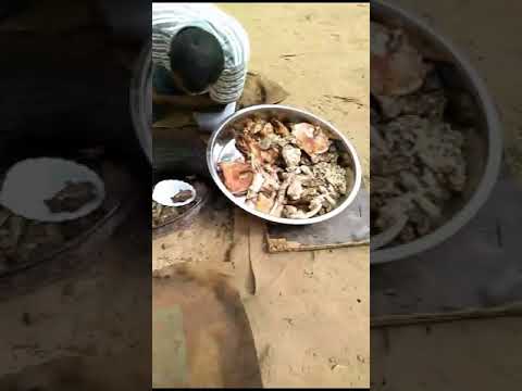 ابوعريش جيزان حنيذ حسن زقمه