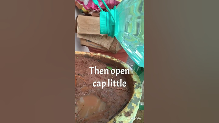 How to water plants while on vacation
