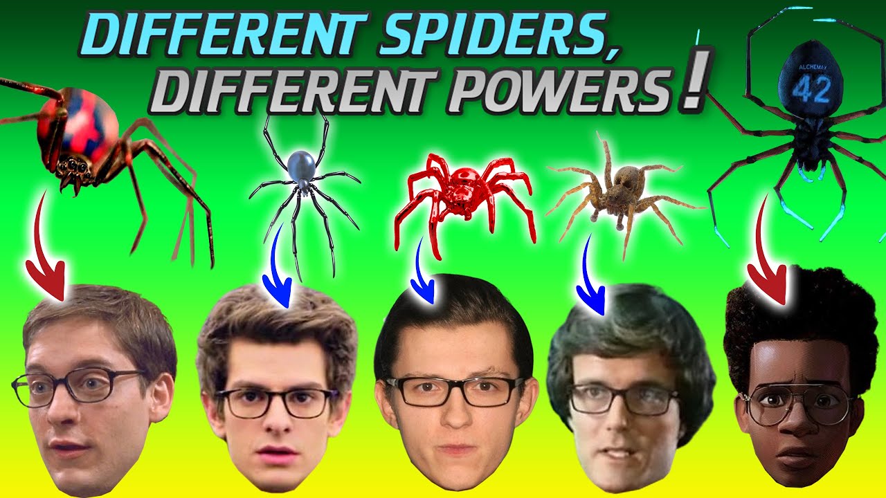 Spider-Man's Radioactive Spiders, Explained in 8 Minutes!! - YouTube