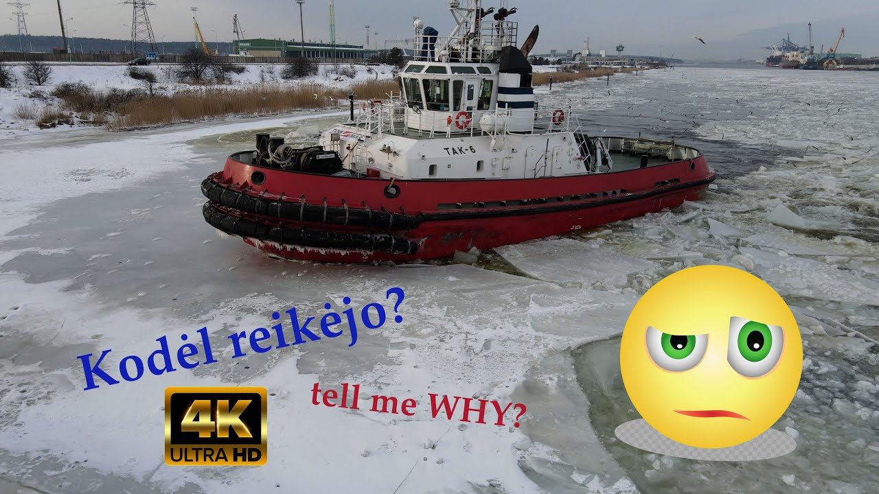 4K🤩TAK šokis su LEDAIS 💃 Icebreaker dancing with ICE YouTube