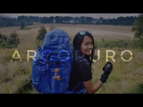 Video: Dinding Pendakian (19 Foto): Siapa Yang Melatih Di Dinding Pendakian Dan Apa Itu? Peralatan Dan Pengancing Di Dinding Pendakian, Kasut, GOST