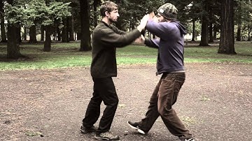 Push Hands Applications - Portland Bagua