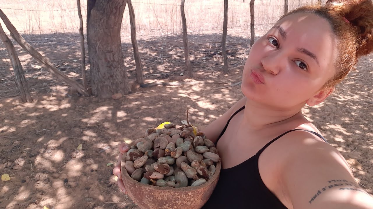 Do nada, virei catadora de castanhas 😆