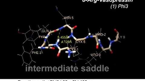Umbrella Sampling of 8-Arg-Vasopressin