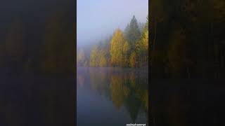 En Iyi Arkaplan Video